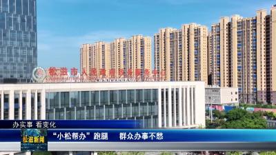 【办实事 看变化】“小松帮办”跑腿  群众办事不愁（20250724）