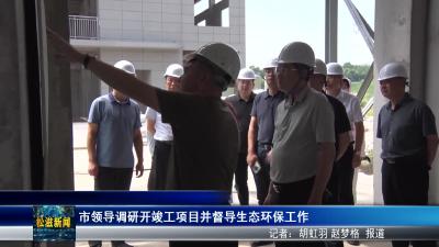 市领导调研开竣工项目并督导生态环保工作（20250721）
