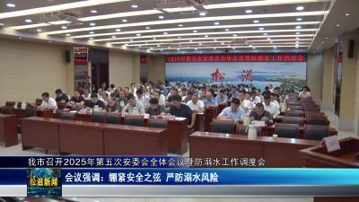 我市召开2025年第五次安委会全体会议暨防溺水工作调度会（20250709）