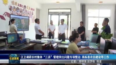 汪卫调研农村集体“三资”管理突出问题专项整治  高标准农田建设等工作（20250729）