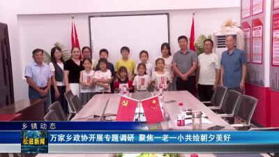 【乡镇动态】万家乡政协开展专题调研  聚焦一老一小共绘朝夕美好（20250728）