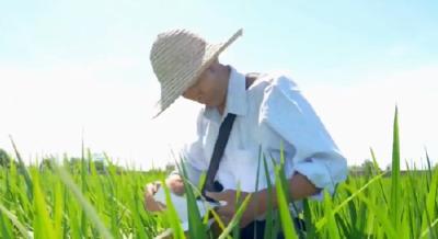 党旗在基层一线高高飘扬 | 汤俭民：“泥腿子”专家的“金种子”传奇