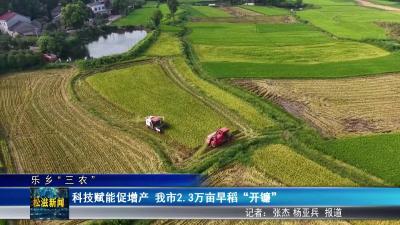 【乐乡三农】科技赋能促增产 我市2.3万亩早稻获丰收（20250718）