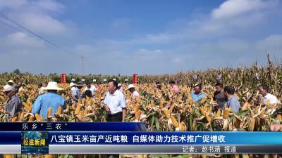 【乐乡“三农”】八宝镇玉米亩产近吨粮  自媒体助力技术推广促增收（20250730）