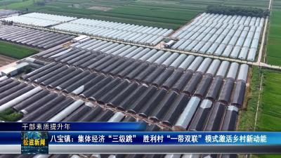 【干部素质提升年】八宝镇：集体经济“三级跳”  胜利村“一带双联”模式激活乡村新动能（20250731）