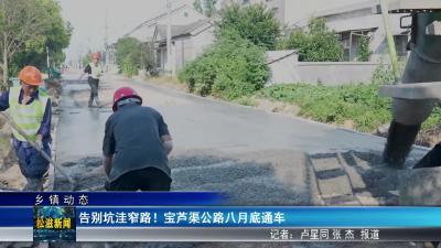 【乡镇动态】告别坑洼窄路！宝芦渠公路八月底通车（20250729）