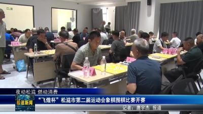 【夜动松滋 燃动消费】“飞煌杯”松滋市第二届运动会象棋围棋比赛开赛（20250805）