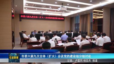 市委六届九次全体（扩大）会议党的建设组分组讨论（20250823）