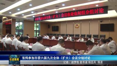 张炜参加市委六届九次全体（扩大）会议分组讨论（20250823）
