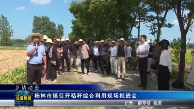 杨林市镇召开秸秆综合利用现场推进会（20250812）