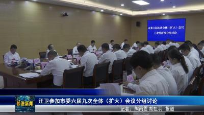 汪卫参加市委六届九次全体（扩大）会议分组讨论（20250823）