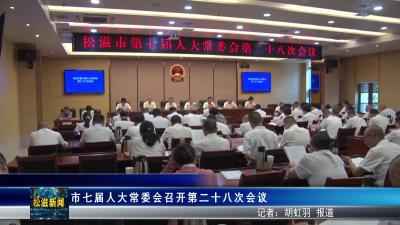 市七届人大常委会召开第二十八次会议（20250807）