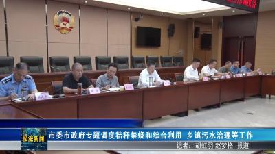 市委市政府专题调度秸秆禁烧和综合利用、乡镇污水治理等工作（20250812）