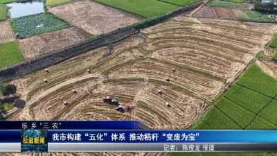 【乐乡“三农”】我市构建 “五化” 体系  推动秸秆 “变废为宝”（20250828）