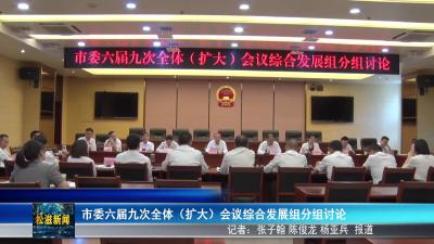 市委六届九次全体（扩大）会议综合发展组分组讨论（20250823）