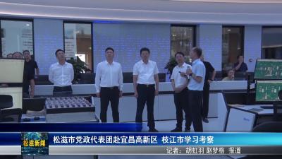 松滋市党政代表团赴宜昌高新区  枝江市学习考察（20250823）