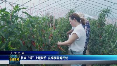 【人大之声】代表“链”上履职忙  瓜菜棚里解民忧（20250806）