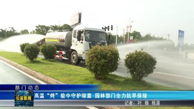 【部门动态】高温 “烤” 验中守护绿意  园林部门全力抗旱保绿（20250814）