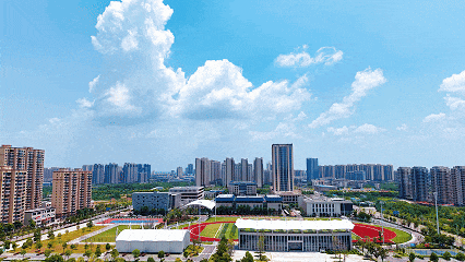 市委市政府专题调度秸秆禁烧和综合利用、乡镇污水治理等工作