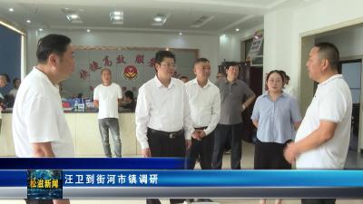 汪卫到街河市镇调研（20250805）