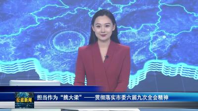 担当作为“挑大梁”---- 贯彻落实市委六届九次全会精神（20250829）
