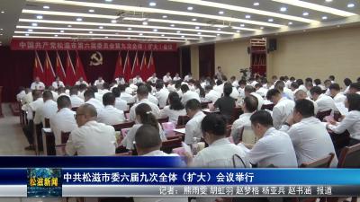 中共松滋市委六届九次全体（扩大）会议举行（20250823）
