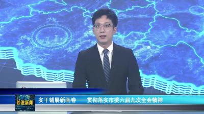 实干铺展新画卷---- 贯彻落实市委六届九次全会精神（20250828）