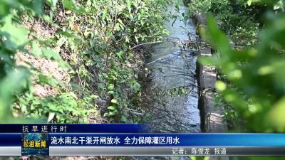【抗旱进行时】洈水南北干渠开闸放水  全力保障灌区用水（20250806）