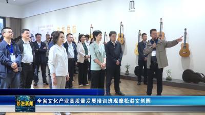 全省文化产业高质量发展培训班观摩松滋文创园（20250926）
