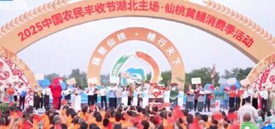 庆祝第八个中国农民丰收节 | 渔歌起 稻浪翻 荆楚大地庆丰年