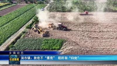 【乡镇动态】涴市镇：秋收不 “撂荒” 秸秆有 “归处”（20250908）