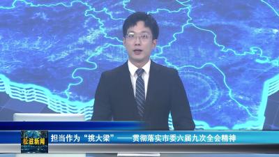 担当作为“挑大梁”——贯彻落实市委六届九次全会精神（20250905）