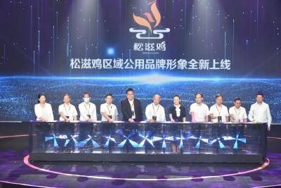 全国百强！松滋入选