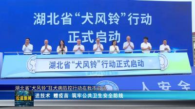 湖北省“犬风铃”狂犬病防控行动在我市启动（20250929）