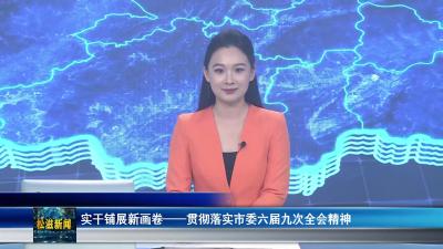 实干铺展新画卷——贯彻落实市委六届九次全会精神（20250904）