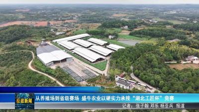 从养殖场到省级赛场  盛牛农业以硬实力承接“湖北工匠杯”竞赛（20250924）