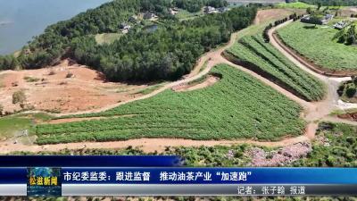 市纪委监委：跟进监督  推动油茶产业“加速跑”（20250923）