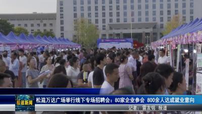 松滋万达广场举行线下专场招聘会：80家企业参会  800余人达成就业意向（20250905）
