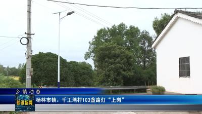 【乡镇动态】杨林市镇：千工垱村103盏路灯“上岗”（20250924）