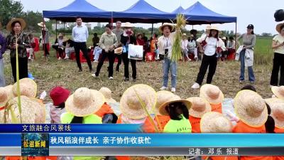【文旅融合风景线】秋风稻浪伴成长  亲子协作收获忙（20250925）