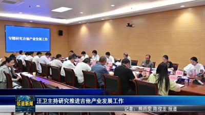 汪卫主持研究推进吉他产业发展工作（20250901）