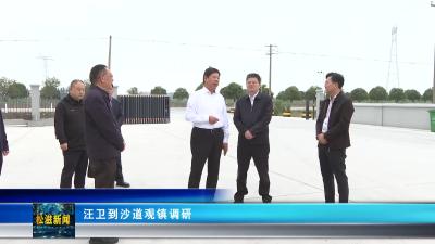 汪卫到沙道观镇调研（20251013）