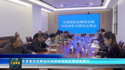 市委第四巡察组向市政协党组反馈巡察情况（20251017）