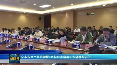 全市吉他产业培训暨9月份驻点招商工作调度会召开（20251001）