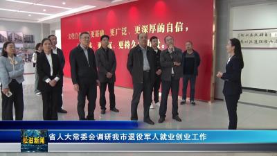 省人大常委会调研我市退役军人就业创业工作（20251015）