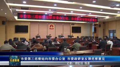市委第三巡察组向市委办公室  市委政研室反馈巡察意见（20251022）