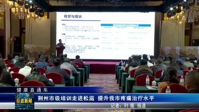 【健康直通车】荆州市级培训走进松滋  提升我市疼痛治疗水平（20251020）