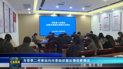 市委第二巡察组向市委组织部反馈巡察情况（20251027）
