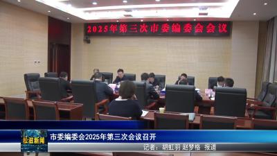 市委编委会2025年第三次会议召开（20251029）
