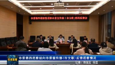 市委第四巡察组向市委宣传部(市文联)反馈巡察情况（20251015）